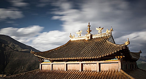 公车上拨开内裤进入：穿越奇幻场景，趣味互动体验：揭秘新型公车娱乐革命