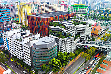 91爆料在线：《梦幻西游》探秘之旅：解锁高级玩法，共赴梦幻仙境