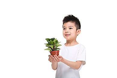十大免费黄片：网络成人文化兴起对青少年观念影响探讨