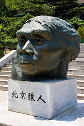 84pao强力打造免费高速基地：84pao公益行动，全国免费高速网络基地点亮信息新时代