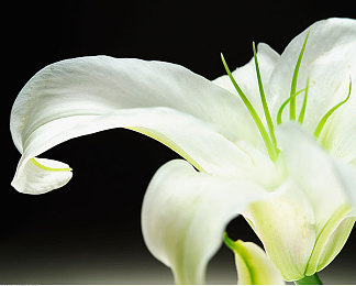 51今日吃瓜群众爆料阿朱：神秘人物阿朱之谜：网络热议揭开古代传奇身份之谜，历史迷雾待揭晓-1