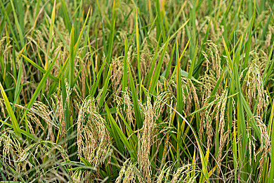 17.c-起草红桃影视：探秘影视匠心，红海战狼青春梦-1