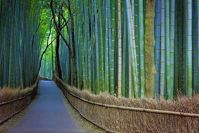 黄色软件app大全免费下载2023安装手机版3d：畅游虚拟现实，2023年度热门3D手机软件攻略揭秘-2
