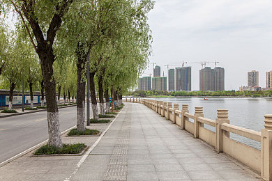 我把数学老师抄了一遍怎么办：数学难题轻松解，名师同款学习神器-2