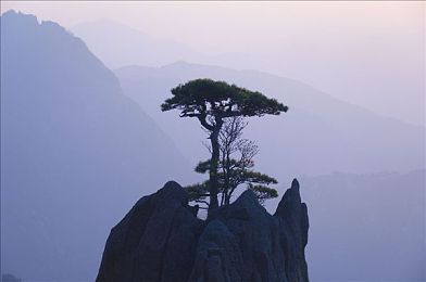 黄TV：黄TV传奇：跨越时代的电视革新之旅