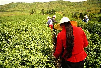 51国产黑料吃瓜张津瑜蘑菇,娱乐圈风波：年轻女星张津瑜真相成谜-2