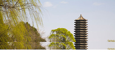 久久丁香五月天：春日盛宴与自然心灵的对话-2