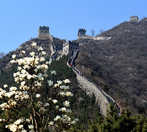 huangseajipian,无人机新宠：huangseajipian引领航拍潮流