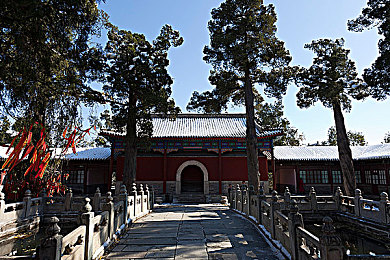 原始生存21天破解6068：荒野求生21日，破解6068极限密码-2