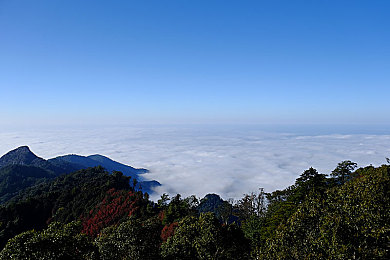 沈阳老阿姨最后的巅峰乌克兰：乌克兰传奇舞者：沈阳老阿姨的异域巅峰之旅