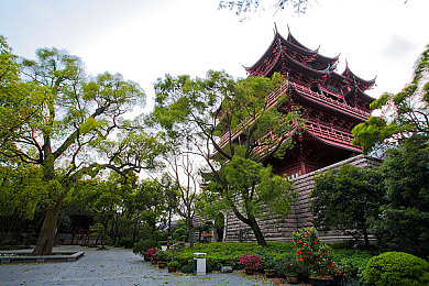 色干综合：揭秘：新兴综合娱乐巨头崛起，色干平台引领潮流，未来展望无限可能-1