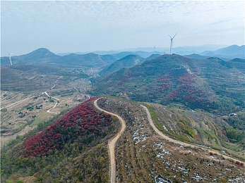 同性恋做爱视频软件,社交新平台，同性恋群体新选择