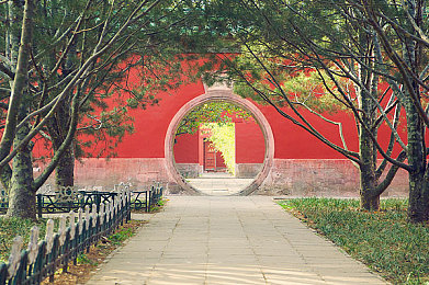 成人一区二区三区四区：城市功能区发展新篇章：成人一区二区三区四区成就与挑战解读-2