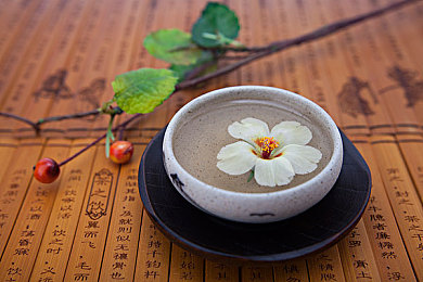 含羞草验究究所：探秘含羞草奥秘，揭示植物智慧之谜园
