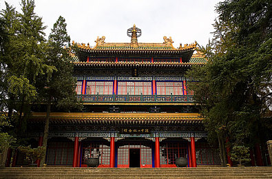 又爽又黄A片免费观看直播APP：视听盛宴，免费直播，畅游影视海洋