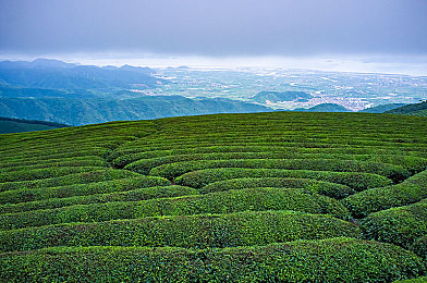 扒开纲手 狂揉 难受软件：轻松管理，美颜生活，多功能助手，尽在“纲手狂揉”-3