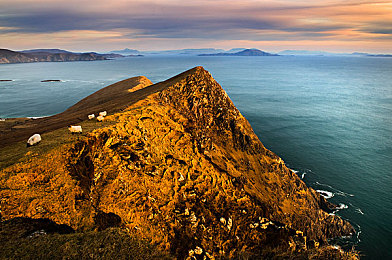 萌白酱一线天：萌白酱一线天：峡谷美食之旅，邂逅仙境美景-2