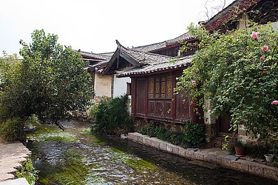 黄的APP：探索奇趣圈层，打造个性化互动乐园-1