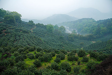 爽 好多水 快 添奶头动漫：趣味动漫风潮，青春共鸣新体验-1