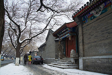 大菠萝福建官网海纳百川,《大菠萝》福建官网焕新，打造包容游戏新体验