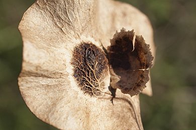 披风少年海角视频：穿越荒野，披风少年点燃生活热情，燃爆网络世界-2
