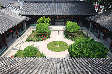 仙踪林company大陆的特点：“创新驱动，品牌崛起：仙踪林大陆市场新篇章”-2