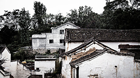 成年人免费看：娱乐盛宴，畅享无界，免费观影新体验-1