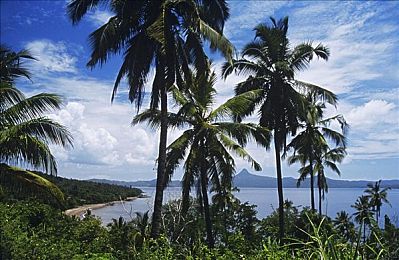 铜铜铜铜铜铜铜好多免费：免费狂欢盛宴，海量游戏周边等你来拿！-3