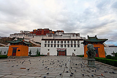 天美麻花果冻,麻花传苏蜜清歌：果冻新境，麻香四溢，天美美味引领潮流探秘之旅-2