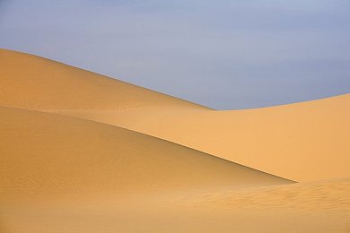 3.0.4免费下载黄色软件：揭秘：“3.0.4免费福利”真相，《梦幻西游》魅力引热议-3