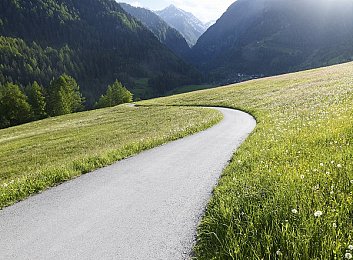 英语老师的兔子又大又白又好吃：英语老师兔子传奇：创意教学中的温馨故事与教育启示-2