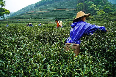永久免费   未满网男同：未满网推出永久免费政策，为年轻男同打造安全社交新空间-3