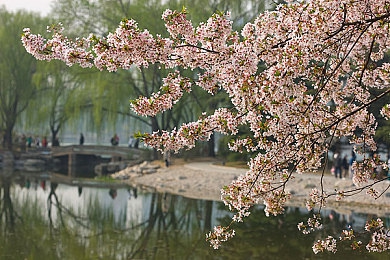 八度影视：影视盛宴，个性化观影新体验-2
