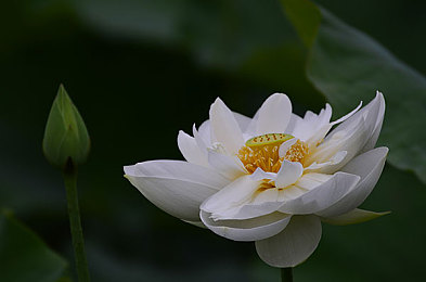 校花扒下裤子让我  他：青春意外记：校花风云，尴尬瞬间-2