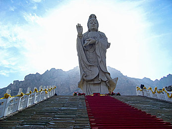 韩国电影野花：自然之歌，生命之舞，探寻野花奥秘之旅-2