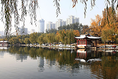 男女床上打扑克软件：情侣互动新选择：温馨床上扑克游戏，增进感情放松心情-2