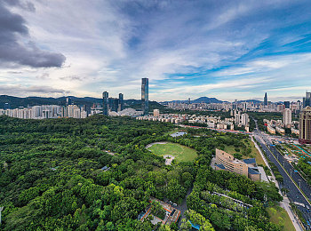 а√天堂中文官网,中文学习新选择，全球学员见证奇迹-3