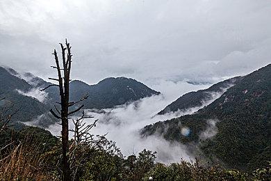 亲子亲子伦inin,亲子互动新利器，育儿成长两不误-3