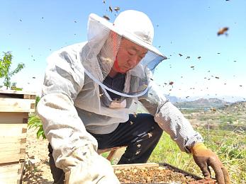黄色软件大全套：揭秘网络陷阱：警惕“不良应用大全”危害，共筑安全防线-2