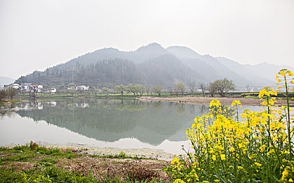 黄网站3.0：奇幻大陆探险记：黄网站3.0，沉浸式冒险之旅开启-2