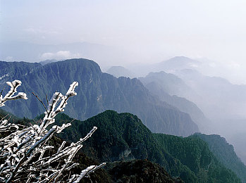 桃花岛tv：武侠江湖，梦回桃花岛，影视盛宴等你来