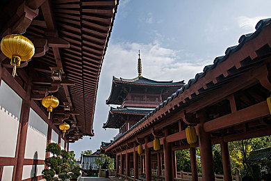 苹果 12pro价格1299：苹果12 Pro新低价1299元起售，性能升级引市场热议，续航与边框争议待解-3