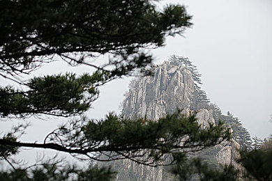 禁黄软件：过滤不良信息，护航绿色网络之旅