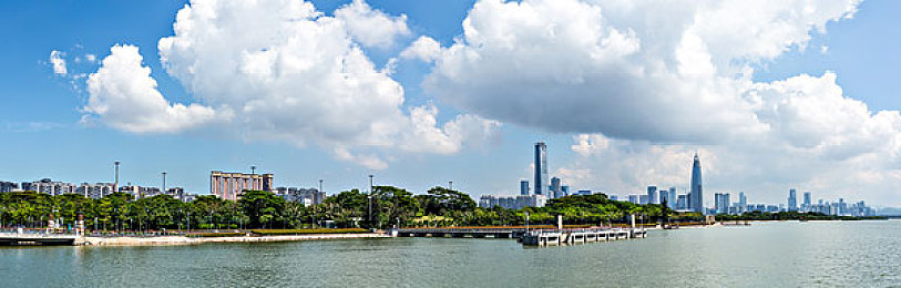 罗宾帮助乔巴排出毒素：医术闪耀，团结铸就航海传奇：探寻《航海王》团队精神的真谛-2
