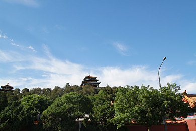 天天天色,神秘大陆冒险，手游新宠引关注