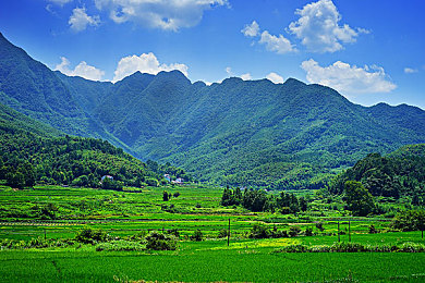 免费尿道入口,尿道健康公益行动，免费检查引关注-2
