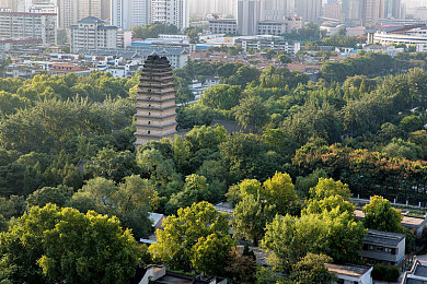 体育生网站：梦想竞技场，梦想启航助力梦想舞台-3