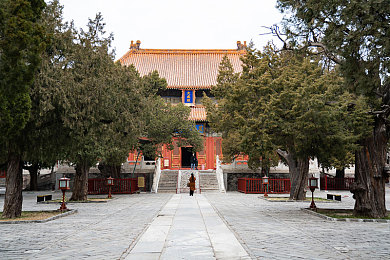 红扑扑中国：寻梦红色奇迹，畅游多彩中华