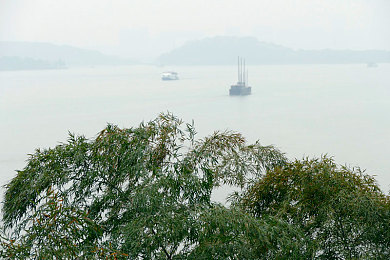 色情软件大全下载：网络陷阱重重，警惕“色情软件大全下载”风险-4