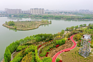 天天爱天天干天天：乐享生活，＂天天爱＂游戏乐趣无限-2